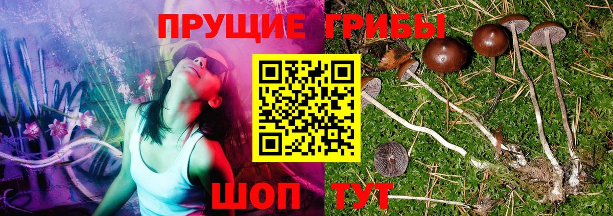 Архангельск  Галлюциногенные грибы мухоморы  Вход с VPN 
