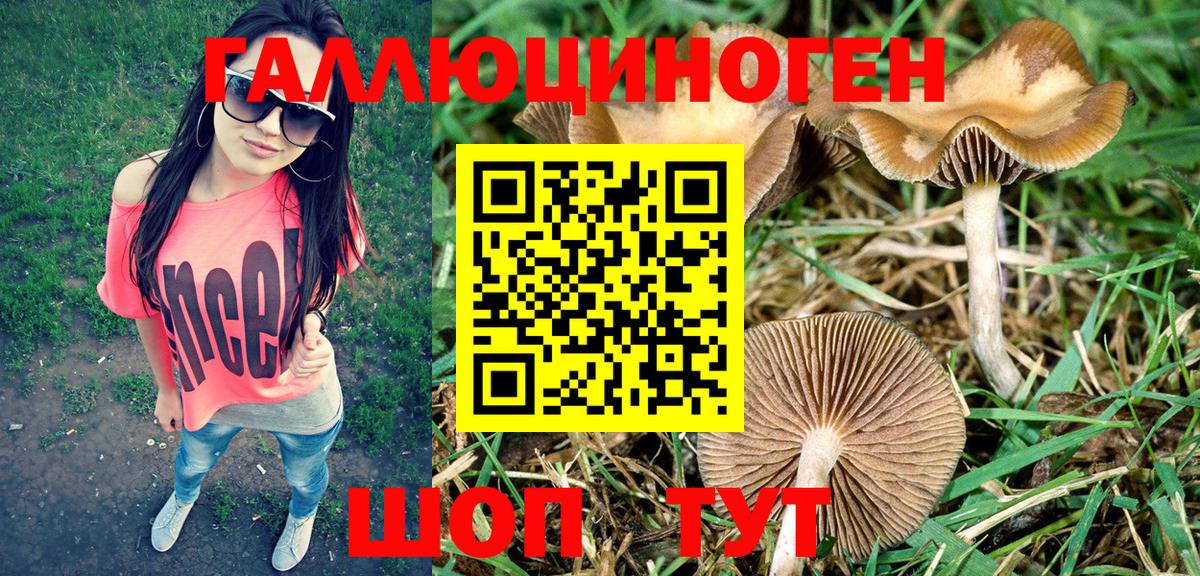 Галлюциногенные грибы мухоморы Архангельск